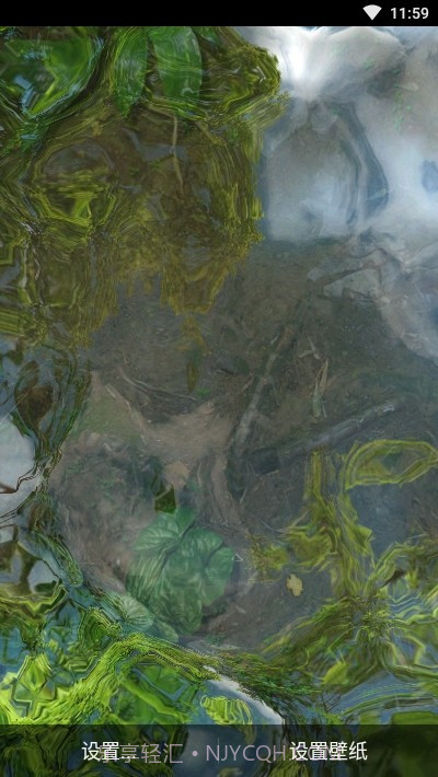 鱼池动态壁纸截图3