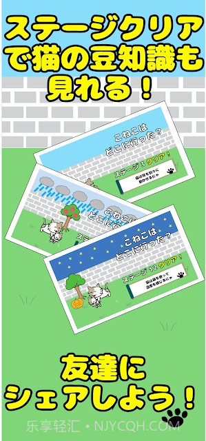 寻找路边消失的小猫截图3