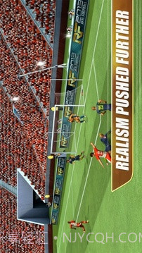 真实足球2013 英文免验证版截图2