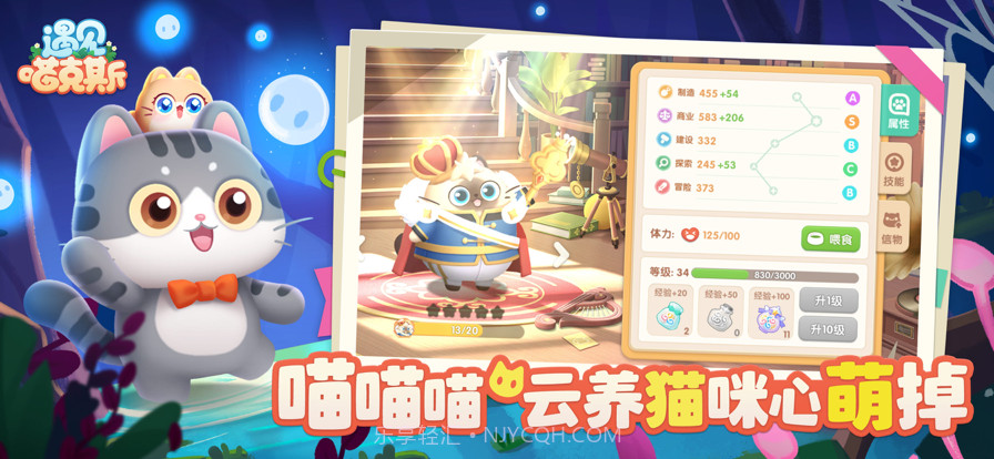 遇见喵克斯截图4 遇见喵克斯截图4