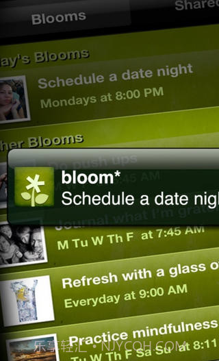 Bloom截图4 Bloom截图4