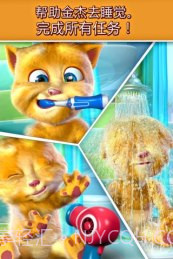 会说话的金杰截图4