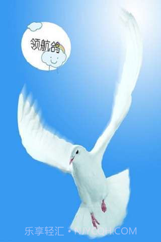 领航鸽截图1 领航鸽截图1