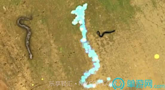 真人版贪吃蛇截图1