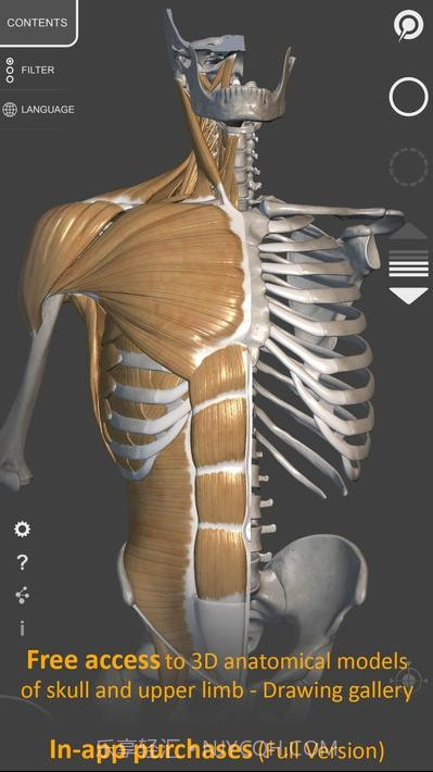 艺术家之3d解剖图截图1