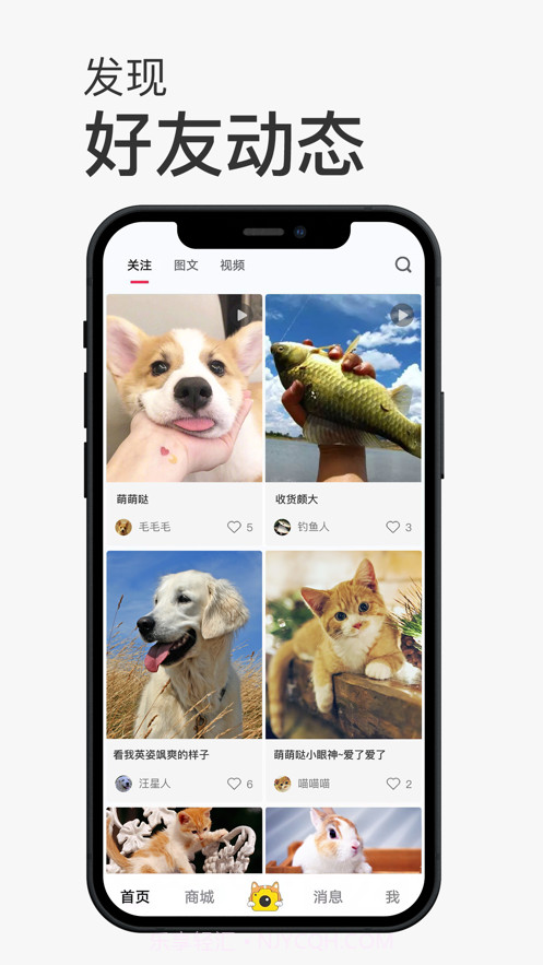小宠书截图1 小宠书截图1