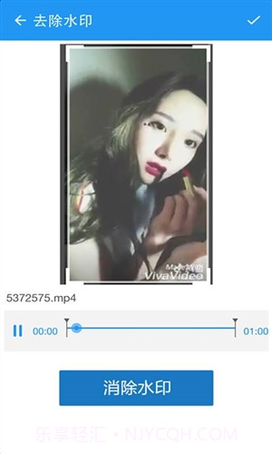 视频去水印截图4