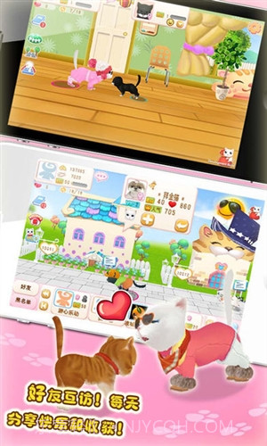 晴天小猫截图3 晴天小猫截图3