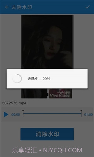 视频去水印截图2