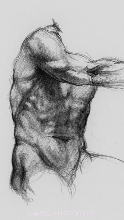 艺术家之3d解剖图截图5