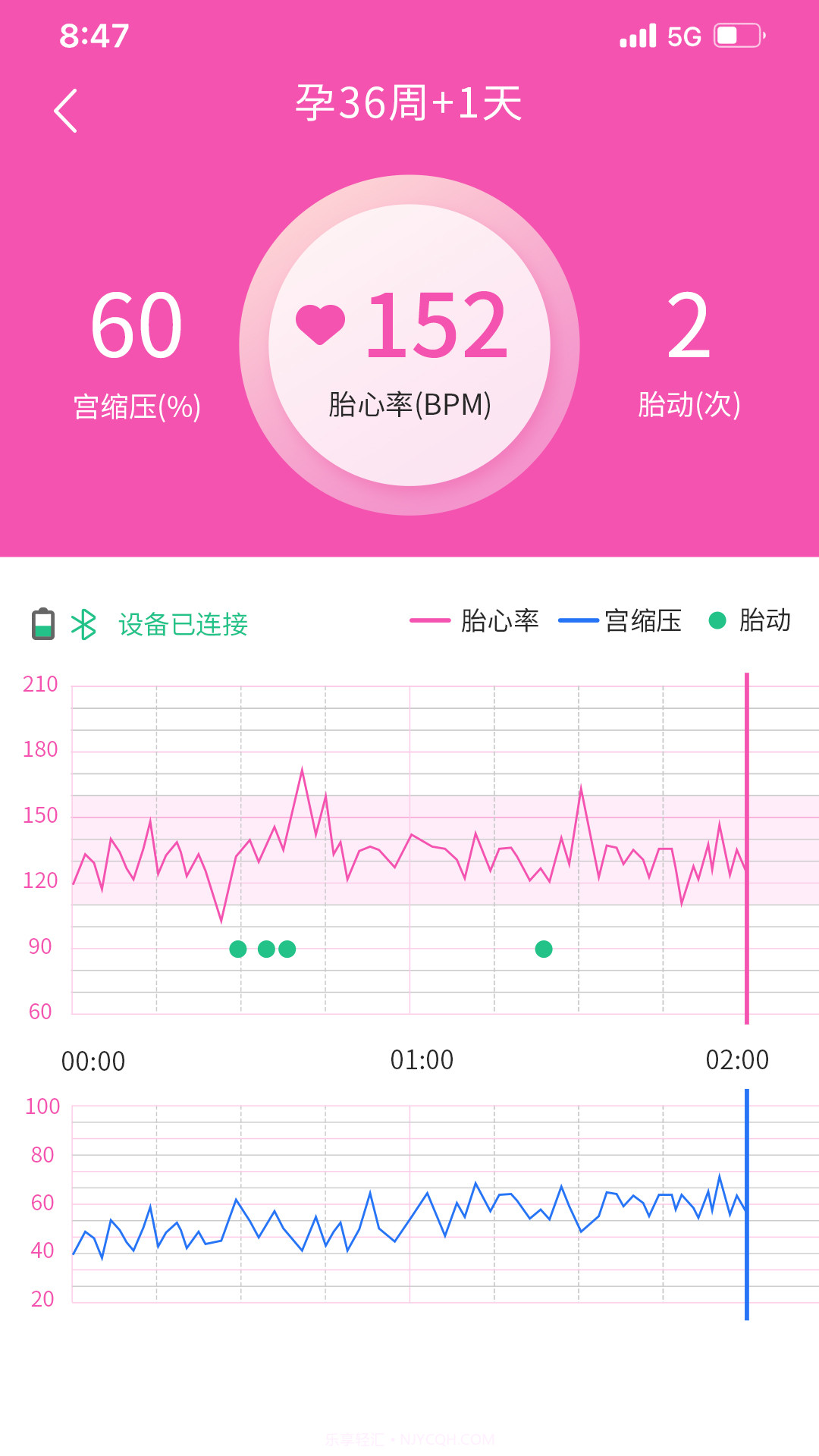 乖乖葆孕妇截图3 乖乖葆孕妇截图3