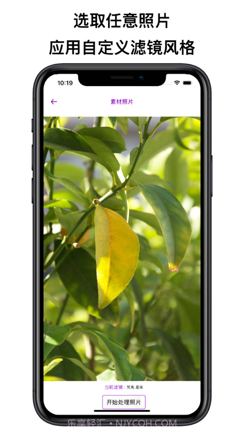 艺术家滤镜截图1