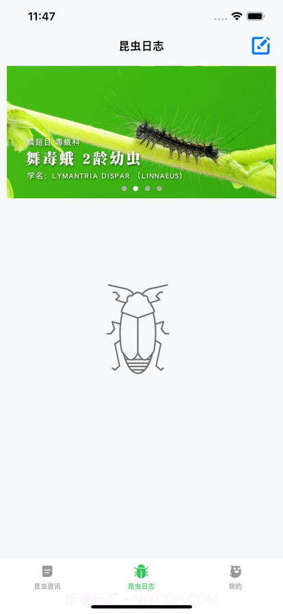 昆虫日记资讯截图1