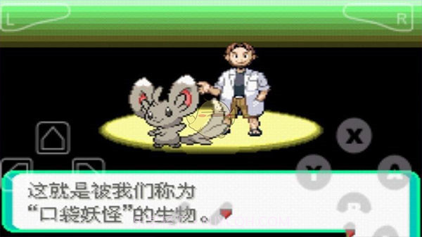 口袋妖怪漆黑的魅影v2021.06.26.10截图2 口袋妖怪漆黑的魅影v2021.06.26.10截图2