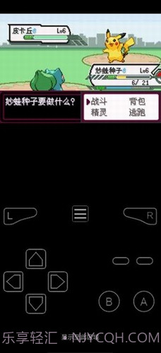 口袋妖怪最后的火红截图3 口袋妖怪最后的火红截图3