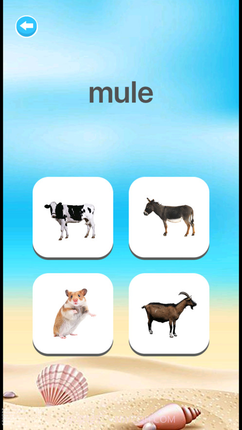 儿童英语单词卡截图4