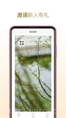 每日观照截图2 每日观照截图2