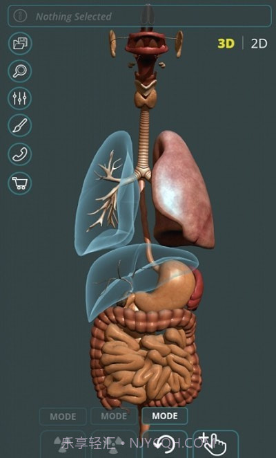 人体3D立体解剖(Visual Anatomy 3D - Human)截图2 人体3D立体解剖(Visual Anatomy 3D - Human)截图2