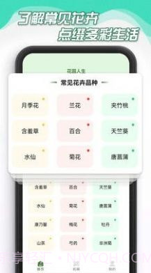 花园人生截图4 花园人生截图4