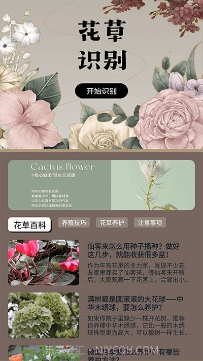 花草录植物识别截图1 花草录植物识别截图1
