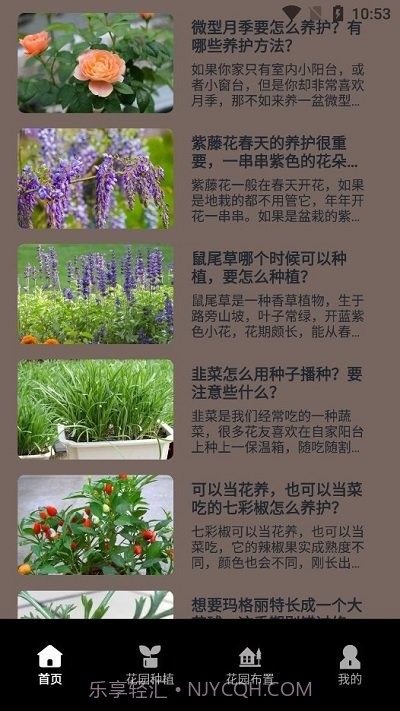 花草录植物识别截图4 花草录植物识别截图4