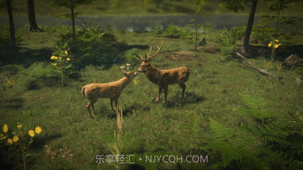 自然本能截图3 自然本能截图3