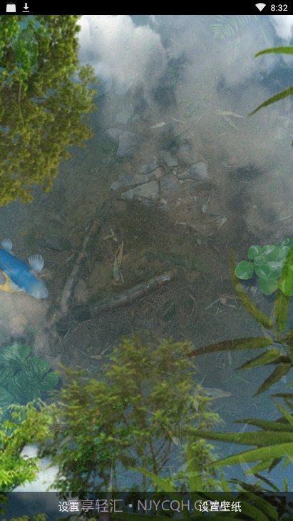 锦鲤鱼池3D动态壁纸截图4 锦鲤鱼池3D动态壁纸截图4