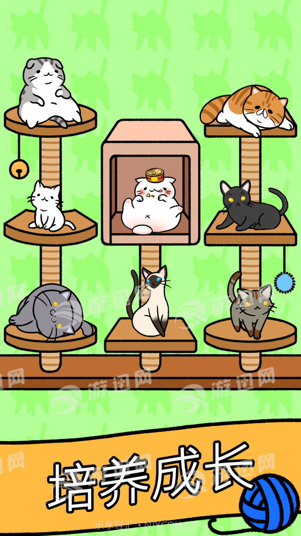 猫咪公寓游戏截图2 猫咪公寓游戏截图2
