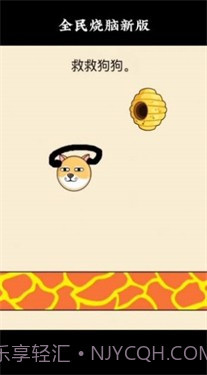 救救狗狗蜜蜂截图2 救救狗狗蜜蜂截图2