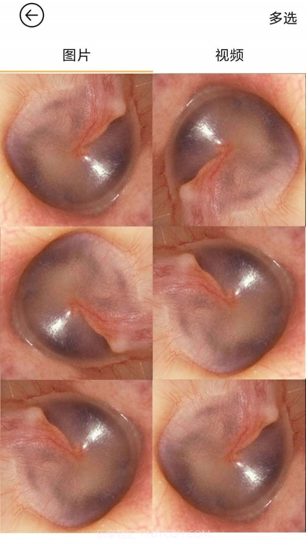 蜂鸟采耳截图4 蜂鸟采耳截图4