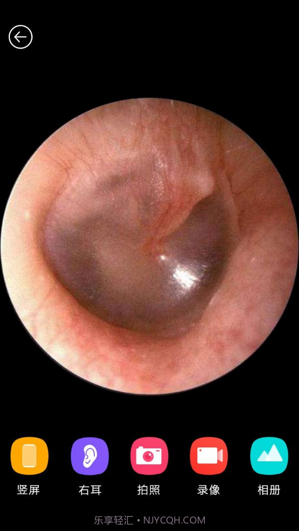 蜂鸟采耳截图3 蜂鸟采耳截图3