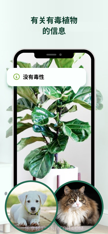 植物花形色拍照识花识别植物截图3