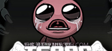 以撒的结合:重生截图1 以撒的结合:重生截图1