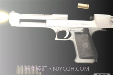 爱枪支 修改版截图3