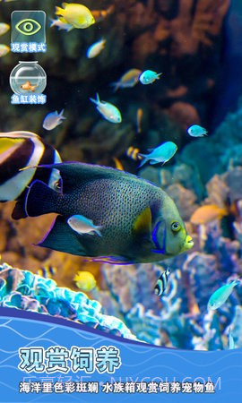 摸鱼模拟器截图2