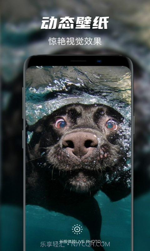 Map主题动态墙纸截图4