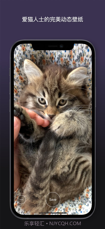 猫动态壁纸截图3 猫动态壁纸截图3