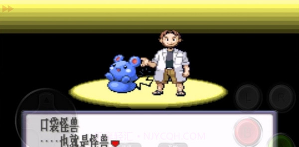 口袋妖怪火影忍者疾风传中文版截图3