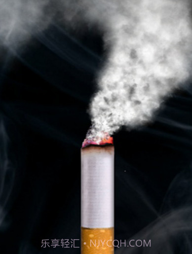 吸烟模拟器截图3