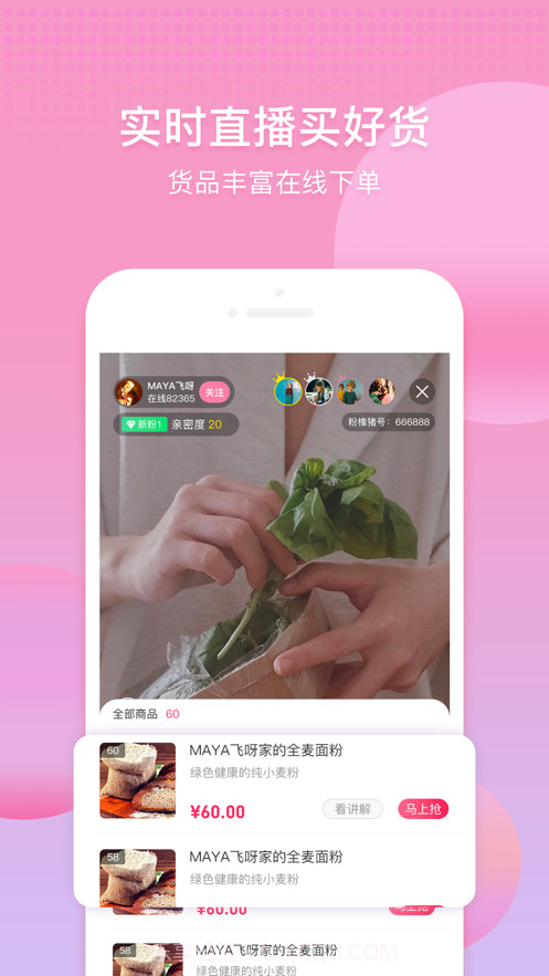 雾隐门截图3 雾隐门截图3