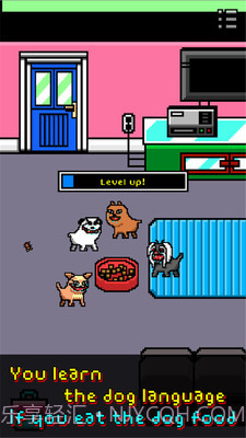 我变成一只狗截图2 我变成一只狗截图2