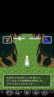 爱丽丝与不思议的迷宫截图5