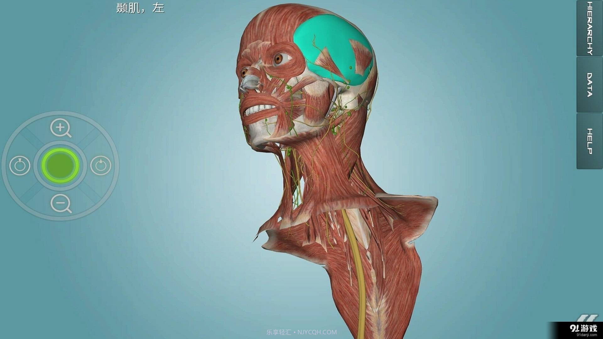 人体解剖学图集截图1