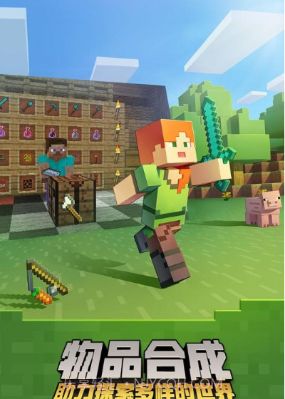 搜狗手机助手我的世界截图2