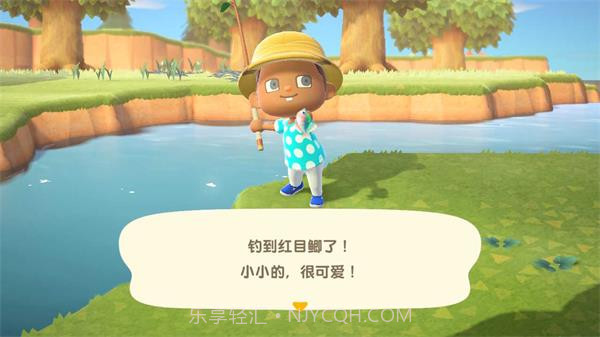 动物之森v6.2.7免费版截图2 动物之森v6.2.7免费版截图2