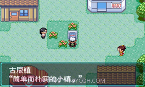 口袋妖怪空之花神截图2