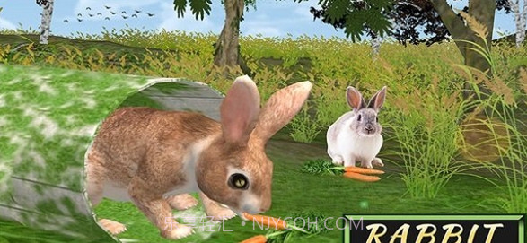兔子模拟器截图1