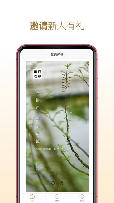 每日观照冥想截图4