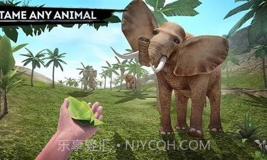 幸存者冒险生存岛截图2