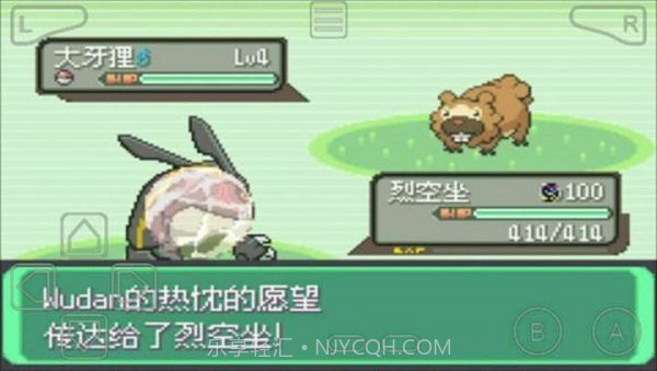 口袋妖怪:绿宝石802截图2